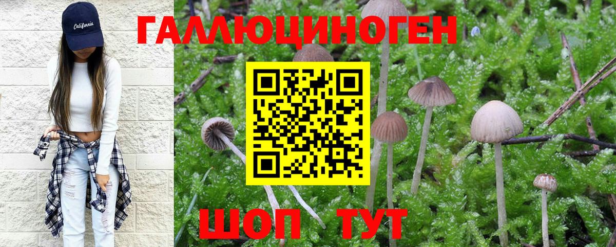 Галлюциногенные грибы Magic Shrooms  Галлюциногенные грибы мицелий  Вход с VPN  что такое наркотик  Чапаевск 